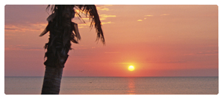 DNSEMP-L-127-Sunset Footprints